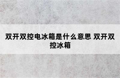 双开双控电冰箱是什么意思 双开双控冰箱